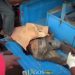 Tragedy strikes in Lagos as Dangote truck crashes into market, leaving multiple casualties