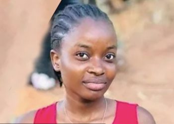 ECOWAS court aks FG to pay ₦10 million for unlawful detention