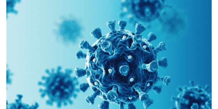 FG issues alert on new XEC COVID-19 variant