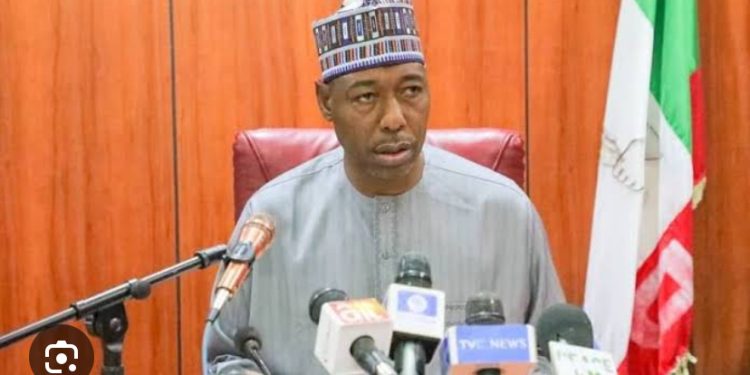Governor Zulum budgets N12.5bn for mass transit, roads in 2025