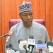Governor Zulum budgets N12.5bn for mass transit, roads in 2025