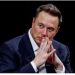 Elon Musk changes name, now Kekius Maximus on X