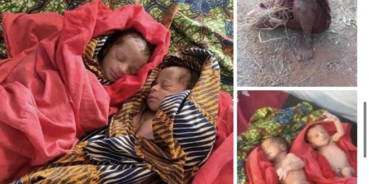 Mentally unstable woman gives birth to twins in Benue State