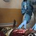 Lassa Fever: Ebonyi confirms 48 cases and 23 lives lost