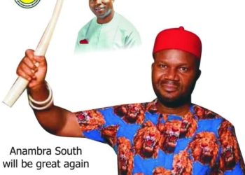 Akai, rice miller, joins race for Senate in Anambra State