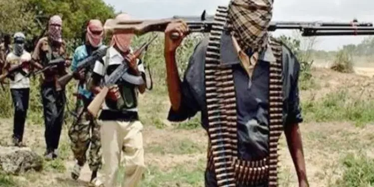 Armed bandits abduct five in Chikakore attack
