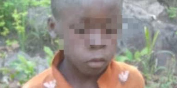 Missing child survives among lions at Zimbabwe’s Matusadona game park