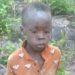 Missing child survives among lions at Zimbabwe’s Matusadona game park