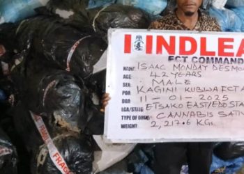 NDLEA seizes 2.2 tons of skunk in major drug bust in Abuja