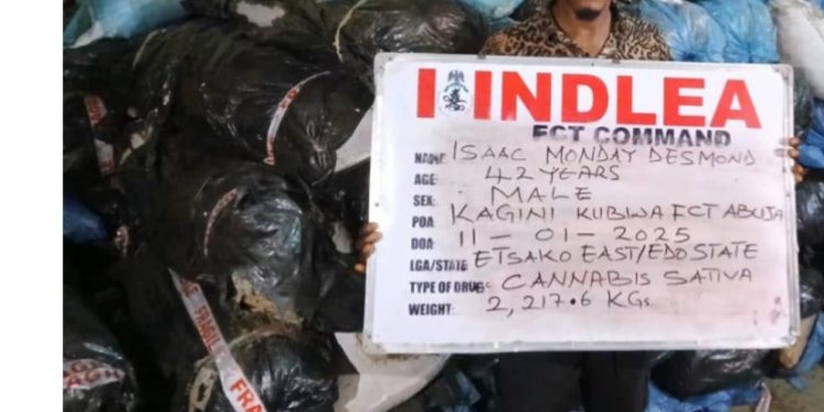 NDLEA seizes 2.2 tons of skunk in major drug bust in Abuja