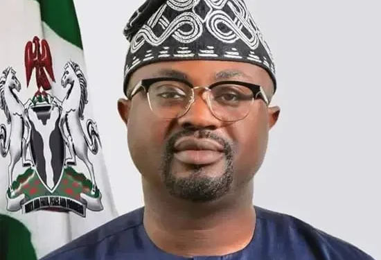 Visa applications goes online by March 1, says FG