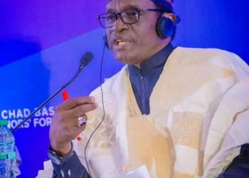 Yobe State Governor, Mala Buni