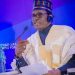 Yobe State Governor, Mala Buni