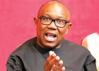 Presidential candidate for the Labour Party, Peter Obi