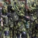 Troops eliminate six terrorists in Sokoto operation