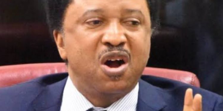Sani announces plans to run for re-election in 2027