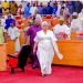 Lagos Assembly orders staff to work remotely
