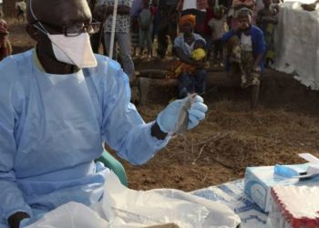 WAHO, ECOWAS urge action to tackle Lassa fever