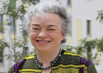 UK pledges support for peace in Borno
