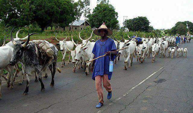 MACBAN commends DSS for tackling insecurity