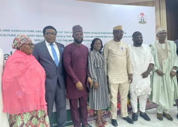 Imo State to join FAO nutrition scheme