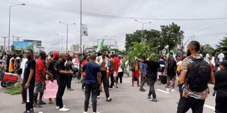Women in Port Harcourt protest against Fubara