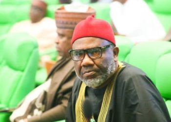 Labour caucus shuns Abure’s leadership move
