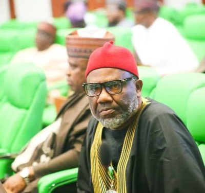 Labour caucus shuns Abure’s leadership move