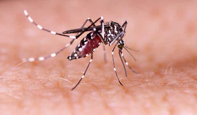 Nigeria battles Malaria misdiagnosis crisis