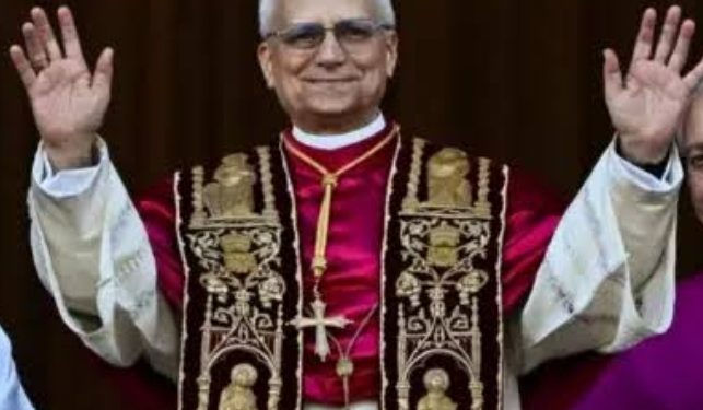 American Robert Francis emerges new Pope, adopts Leo XIV