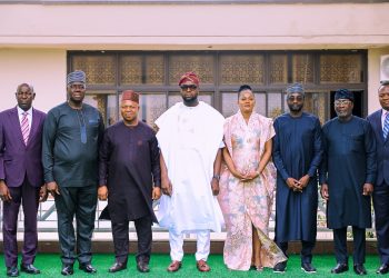 FG inaugurates digital public infrastructure committee