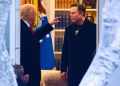 President Donald Trump and Elon Musk