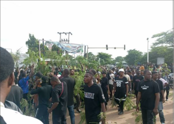 Benue youths protest killings, demand protection