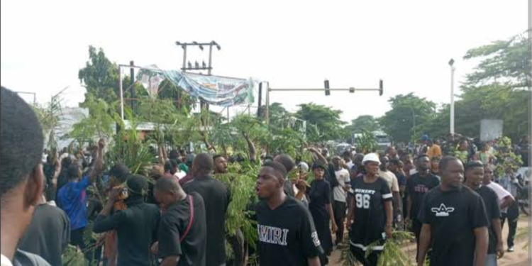 Benue youths protest killings, demand protection