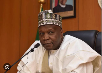 Wedding trip turns tragic: northern governors react