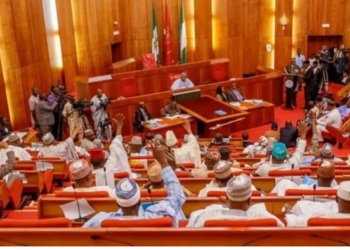 Senate confirms Adetunmbi as Chairman SWDC board