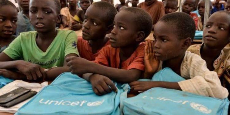 UNICEF raises alarm on illiteracy in North-East