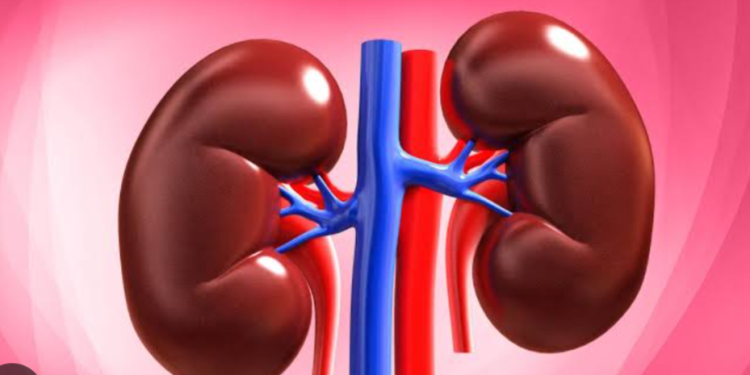 Silent signs: Don’t ignore kidney red flags