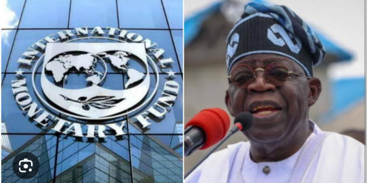 Presidency slams IMF for criticising Tinubu reforms
