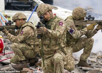 Britain ready to defend Ukraine against Russia
