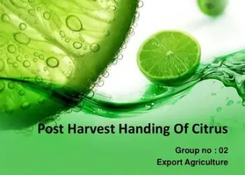 Benue juice factory will  reduce post-harvest losses of citrus- MD BIPC