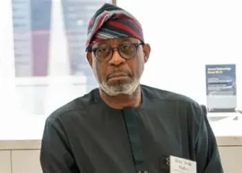 Capital market critical to growth of mining sector– Alake