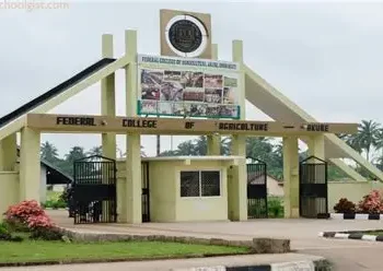 Ondo agric college appeals to FG over land grabbers’ threat