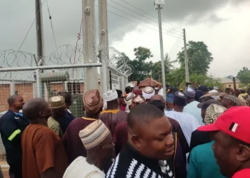 Niger State village gets power after 40 years darkness