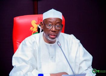 Jigawa trains 400 youths in date palm farming