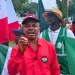 NLC orders mobilisation over Dangote labour dispute