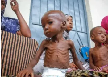 FG, partners commit $30m to tackle child malnutrition