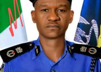 PSC appoints Mohammed as DIG, promotes 482 senior officers
