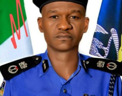 PSC appoints Mohammed as DIG, promotes 482 senior officers
