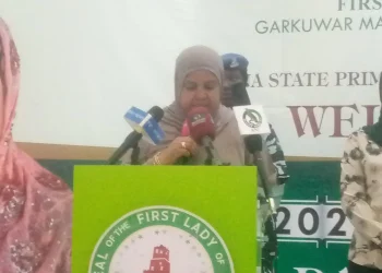 Katsina, UNICEF unite to end child-preventable diseases